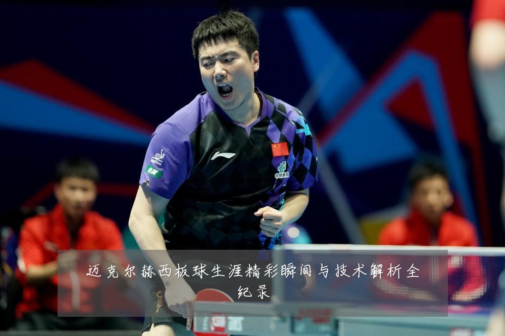 迈克尔赫西板球生涯精彩瞬间与技术解析全纪录